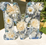 🌸Last Day 49% OFF - Flowers Resin Night Light