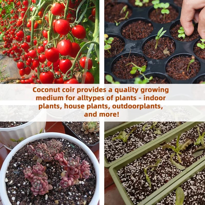 🔥LAST DAY SALE - ONLY £8.99!!⚡50K+ SOLD!🌱 🥥Premium Organic Coconut Coir Bricks For Plants