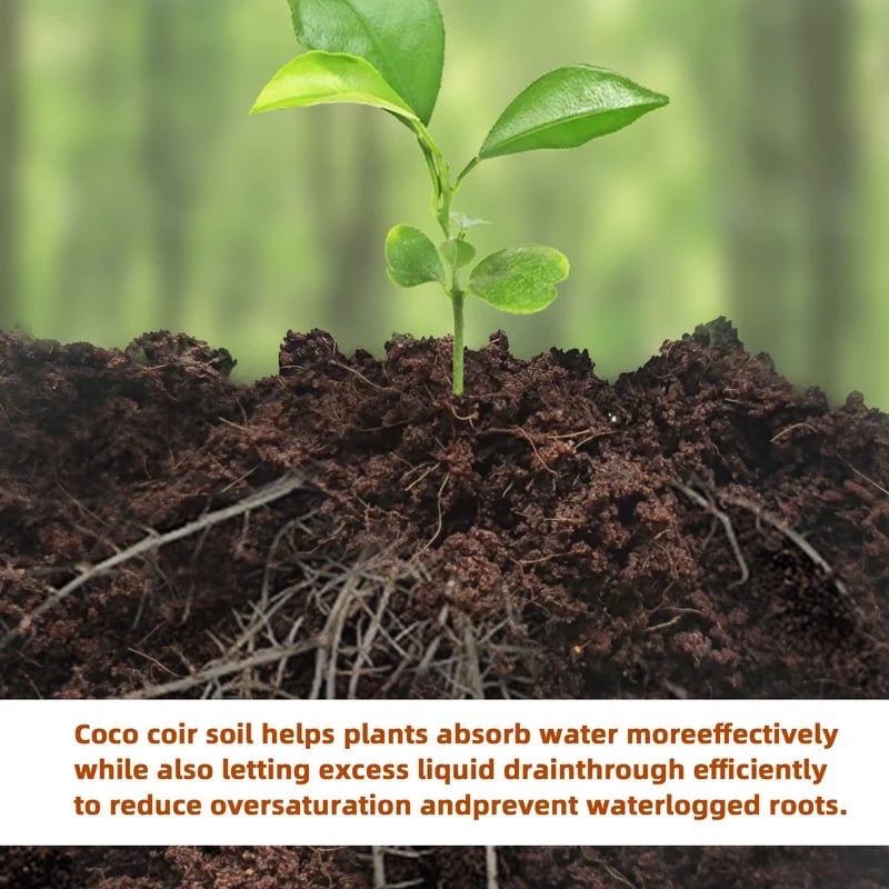 🔥LAST DAY SALE - ONLY £8.99!!⚡50K+ SOLD!🌱 🥥Premium Organic Coconut Coir Bricks For Plants