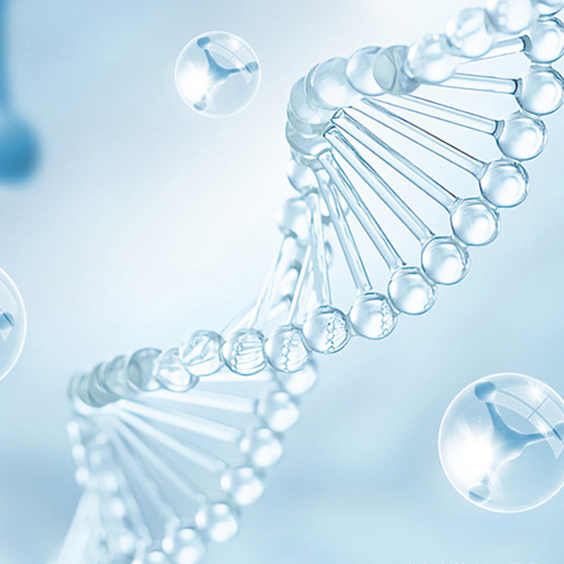 🔥Last Day Special Price £8.99!!💥-🚽UV Toilet Sterilization Lamp Set